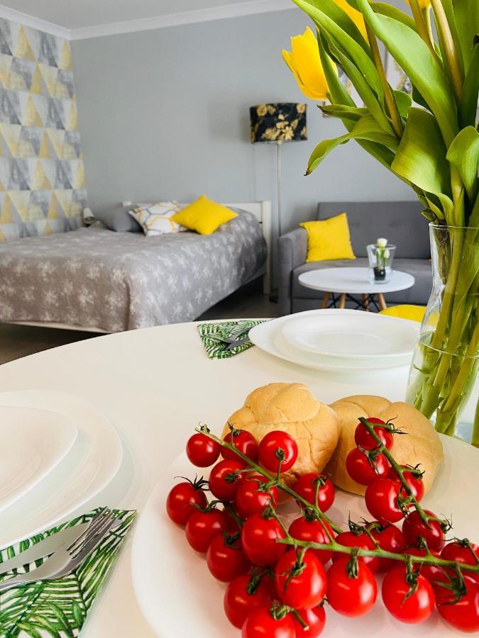 Apartament Na Starowce III プシュチナ エクステリア 写真
